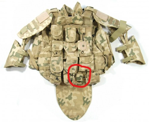 Polish Molle with Bayonet Pouch_LI.jpg