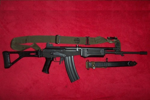 4497315_galil1_jpegf250191ad5ca5048306e7f1fe94832f8.jpeg