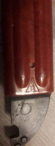 20230324_062917.jpg