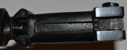 CChinBlSG03.jpg