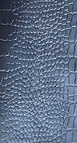 Embossed leather.jpg